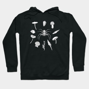 Huntsman spider with various shells and fungi Hoodie